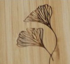 Design 5 (Flowers)